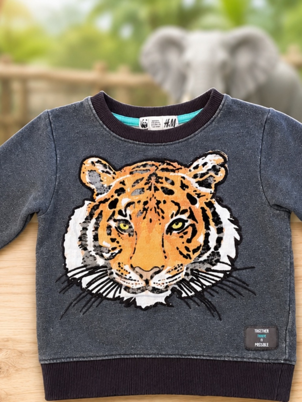 H&M Tiger Sweatshirt (WWF Collection) – Size 2–4Y (98/104) – Organic Cotton